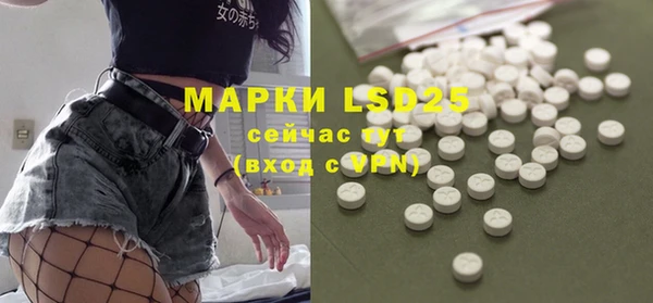 стафф Аркадак