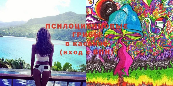 стафф Аркадак