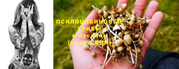 ALPHA PVP Арсеньев